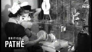 Baby's Incubator (1949)