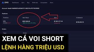 HƯỚNG DẪN CÔNG CỤ XEM CÁ VOI LONG SHORT BTC, ETH