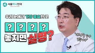 □□ 놓치면 실명? 우리 눈에서 가장 중요한 곳 알아보겠습니다