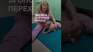 Змейка, 3х опорная стойка, переход