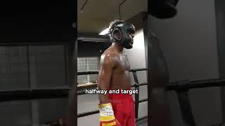 KSI show his  Boxing To Ishowspeed 