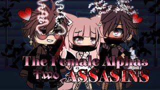 [The Female Alphas Two ASSASIN'S] {Gacha Life} •gacha GLMM•