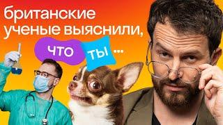 Врут ли британские ученые | Игра «Правда или Ложь» | Джордан VS команда Skyeng 