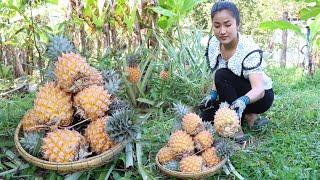 Countryside life TV: Yummy pineapple recipes - Harvest pineapple and cooking