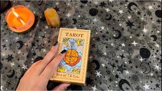 Tarot Deck of 78 Cards / Flip Through / What the Deck