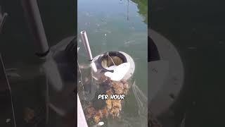 Seabin EXPLAINED 