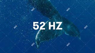 Sokół - 52Hz (Official Audio)