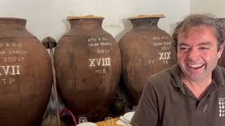 Reviving a tradition: making wine in large clay amphorae in Portugal's Alentejo region