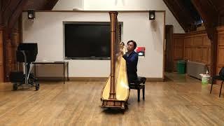 J.S. Bach, Prelude from Lute Suite in C minor BWV 997 | Ian Lim - Harp