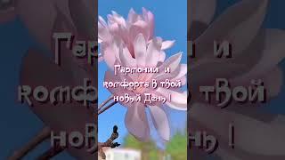 Каждый миг на земле происходят чудеса. И чтобы их заметить, нужно просто оглянуться и открыть глаза