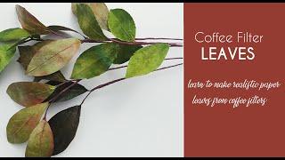 Coffee Filter - Paper Leaves