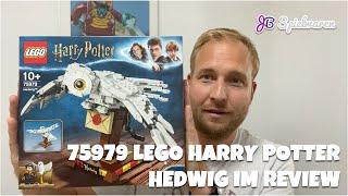 Review LEGO 75979 Hedwig LEGO Harry Potter
