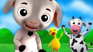 Bebê Cabra | Rima De Berçário | Miúdos Canções | Baby Goat | Kids Baby Club Portuguese