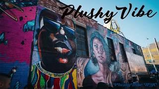 Bushwick Collective Block Party highlights by PlushyVibe Music