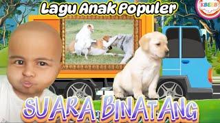 Binatang Naik Truk - Lagu Anak Suara Binatang Dan di Botak Viral #Kbeeb #suarabinatang