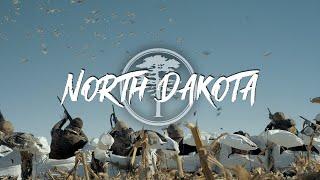 Duck Hunting- North Dakota (THOUSANDS of ducks after a snow storm)