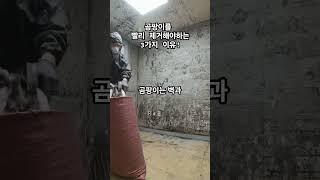 공포의 곰팡이, 제거는 시간싸움!