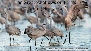 The Greatest Shows on Earth: Spring Nebraska
