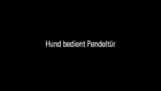 Glück & Franke Präsentiert: Insektenschutz-Pendeltüren für Hunde von Neher