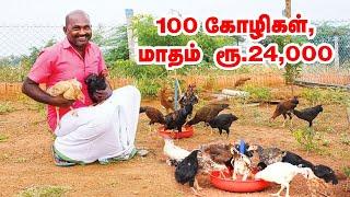 100 கோழிகள், மாதம் ரூ.24,000... மேய்ச்சல் முறை கோழி வளர்ப்பு!