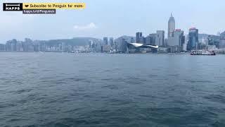 Ride the Star Ferry in Hong Kong with me