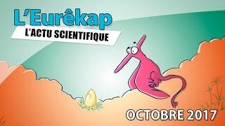 L'actu scientifique d'octobre 2017 - L'Eurêkap