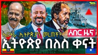 Ethiopia: ለኢትዮጵያ የሚዋጋ ተገኘ | “ልባችን አይሰበር፣ እንበርታ” አሉ | ሱማሊያ በአውሮፕላኖቹ ላይ ቆመረች | ኤርትራ ግብፅን ለብቻዋ ተወች