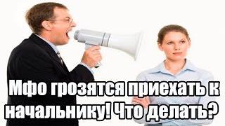  Мфо грозятся приехать к начальнику! Что делать?