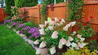 Mid August Weekly Walkabout & Garden Tour ~ Late Summer Blooms // Suburban Oasis