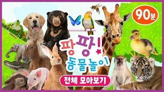 팡팡! 동물놀이ㅣ전체 모아보기ㅣ자연탐구ㅣ어린이 프로그램ㅣPangpang! Play with AnimalㅣKids