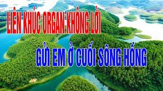 LIÊN KHÚC NHẠC SỐNG ORGAN KHÔNG LỜI GỬI EM Ở CUỐI SÔNG HỒNG