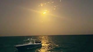 Debris from SpaceX Starship flight 8 explosion streaks across Bahamas night sky