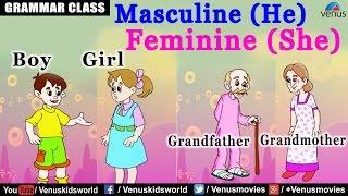 Masculine (He) & Feminine (She) Gender