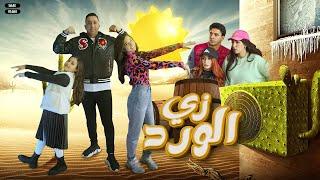 كليب زى الورد ( أنتم أخباركم أية !! ) أمنية القوة & السندرلار غزل & محمود الجمل  clip 2024