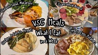 VSG JOURNEY | BARIATRIC THANKSGIVING | VSG MEALS | GASTRIC SLEEVE | BARIATRIC SURGERY | VLOG