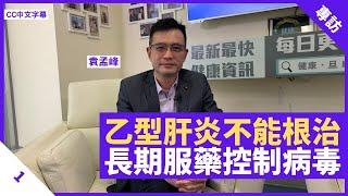 乙型肝炎無病徵難根治 患者可併發肝癌肝硬化 須長期服用藥物降低病毒水平 - 鄭丹瑞《健康旦》香港大學腸胃及肝臟科講座教授 #袁孟峰 Part 1 (CC中文字幕)