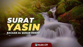 Bacaan Quran Merdu Surat Yasin Full Dan Terjemahan | Ismail Annuri