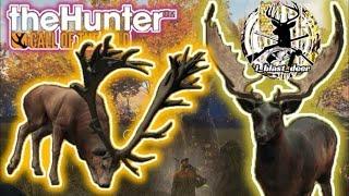 The hunter:Call of the Wild