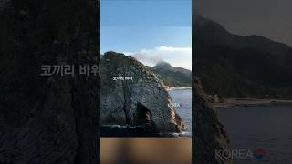 3 Treasure Islands of Korea #korea ##scenery #shorts #shortvideo