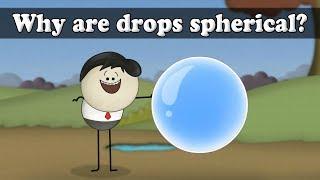 Surface Tension - Why are drops spherical? | #aumsum #kids #science #education #children