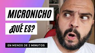 NICHO y MICRONICHO de MERCADO explicado en 2 MINUTOS 