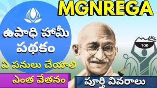 MGNREGA | Upadi Hami Pathakam | mahatma Gandhi national rural employment guarantee scheme telugu