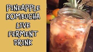 Pineapple Kombucha Live Ferment Drink | Dr. Robert Cassar