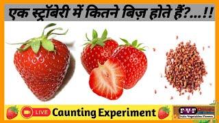 experiment facts about strawberry #experiment #knowledge #factsvideo #viral @FvfHindiKnowledge