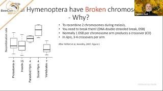 How Large Colony Sizes Can Select for Higher Meiotic Recombination