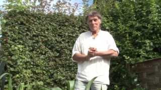 The Permaculture Gardener