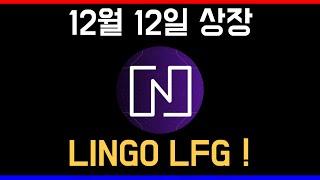 무료 에드작 그리고 프리세일 Lingo 12월 12일 상장 ! 게다가 RWA 묻었으니 한 번 어떻게 될 지 자세히 살펴보자