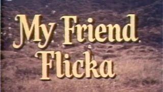 My Friend Flicka 18 of 39 - The Settler