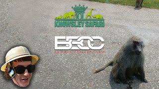 BBCC 2 | Bad Boy Chiller Crew go to Knowsley Safari Park! Monkeys destroy the van!