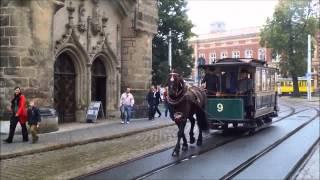 Görlitzer Pferdeeisenbahn 14.09.2014